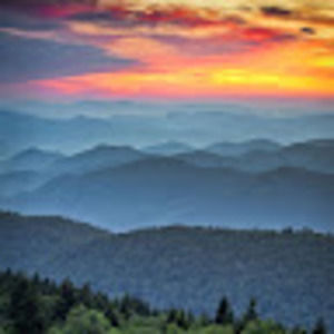 Meet your Posher, Emelia